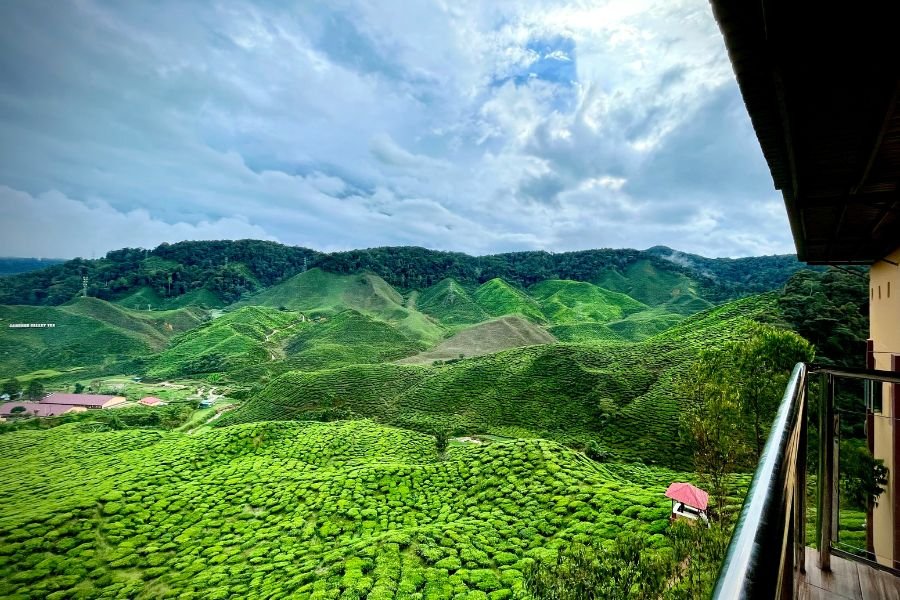 Hành động này đi ngược lại với “du lịch xanh”!